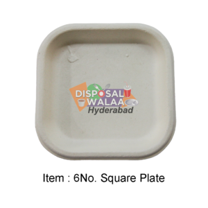 6 No BAGASSE Square Plate – 50 Pcs